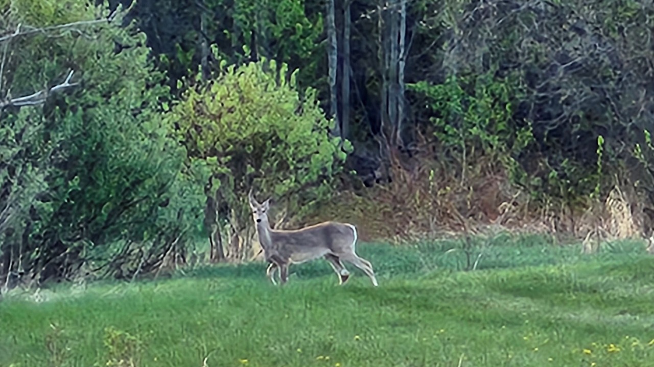 Photo of Others in Parkland County