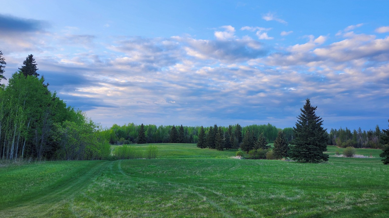 Photo of Others in Parkland County