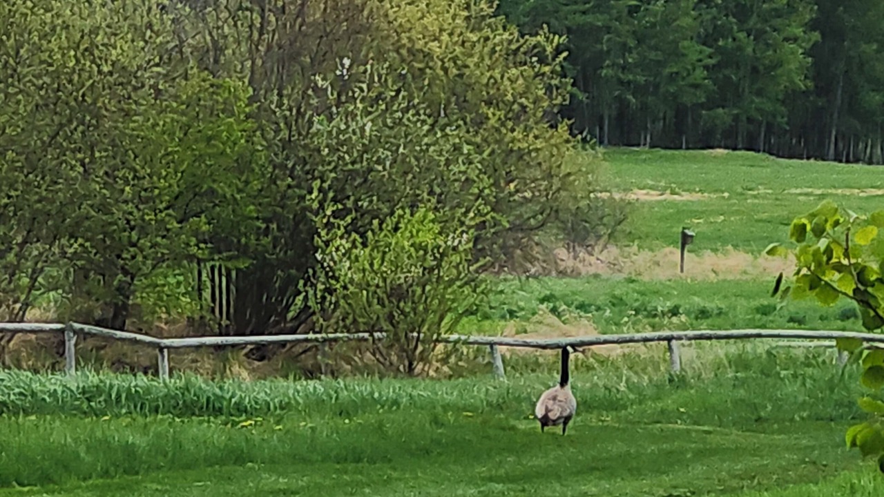 Photo of Others in Parkland County