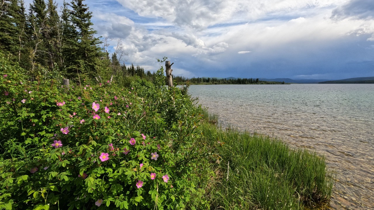 Photo of Others in Yukon