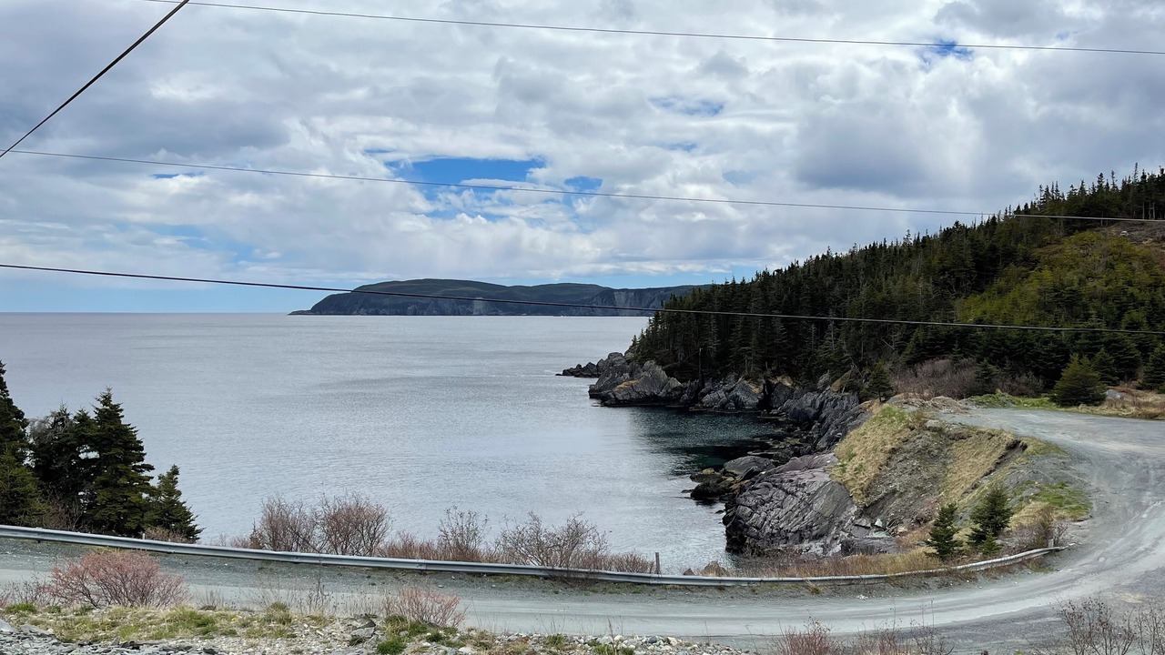 Photo of Others in Cape Broyle
