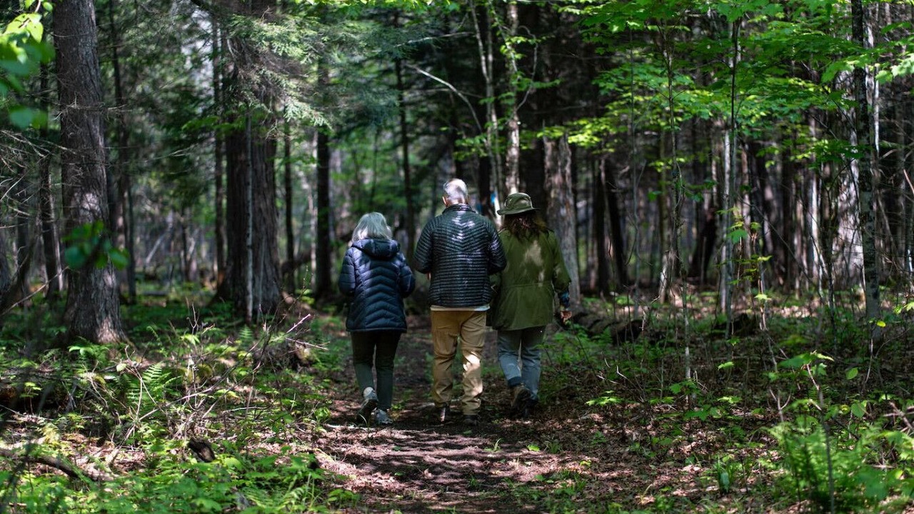 Photo of Others in Algonquin Highlands