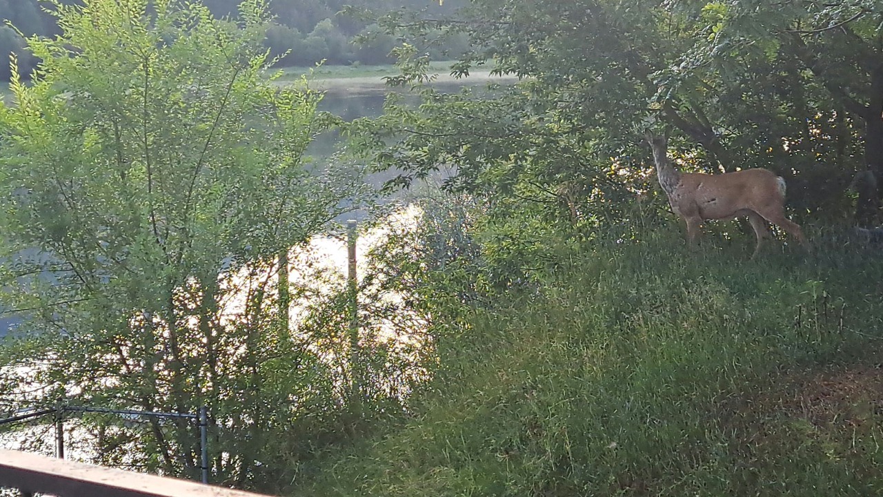 Photo of Others in Valleyview