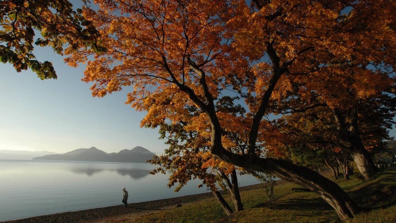 Photo of Others in Toyako