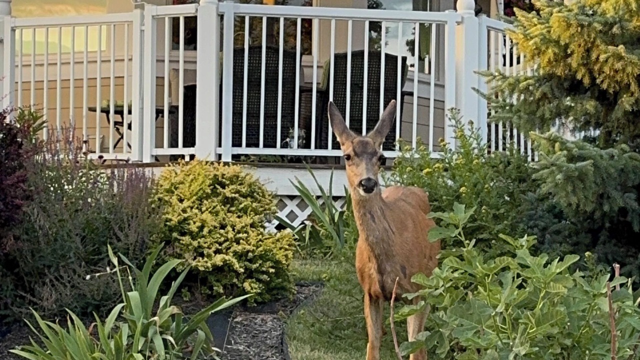 Photo of Outdoor in Southwest Mission
