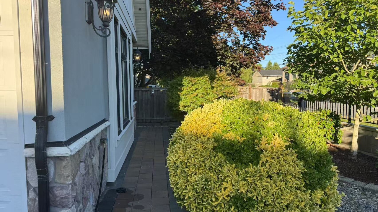 Photo of Outdoor in Seafair