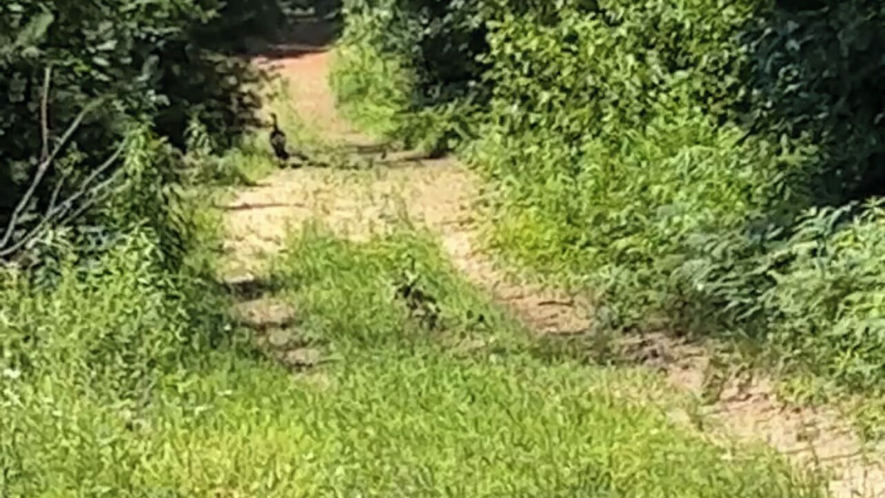 Photo of Others in Langton