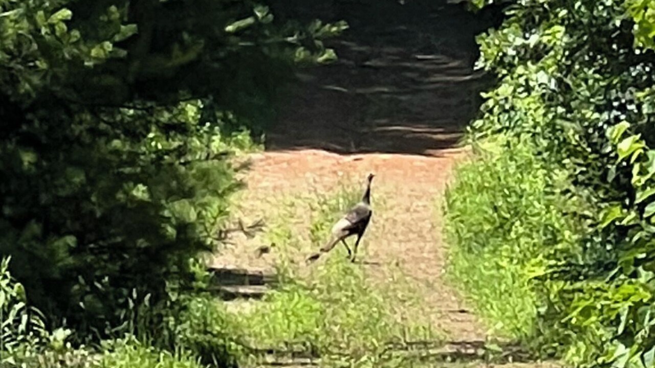 Photo of Others in Langton