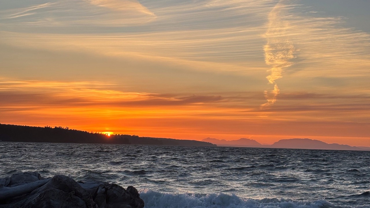 Photo of Others in Comox