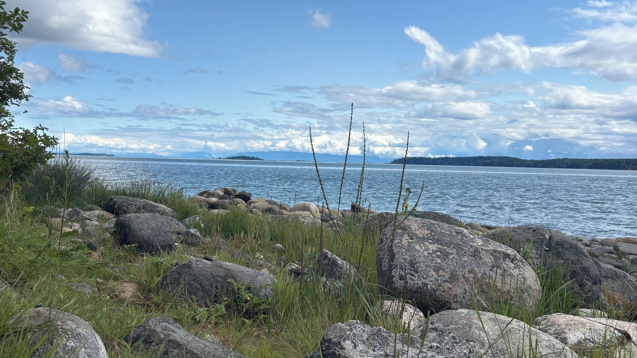 Photo of Others in Comox