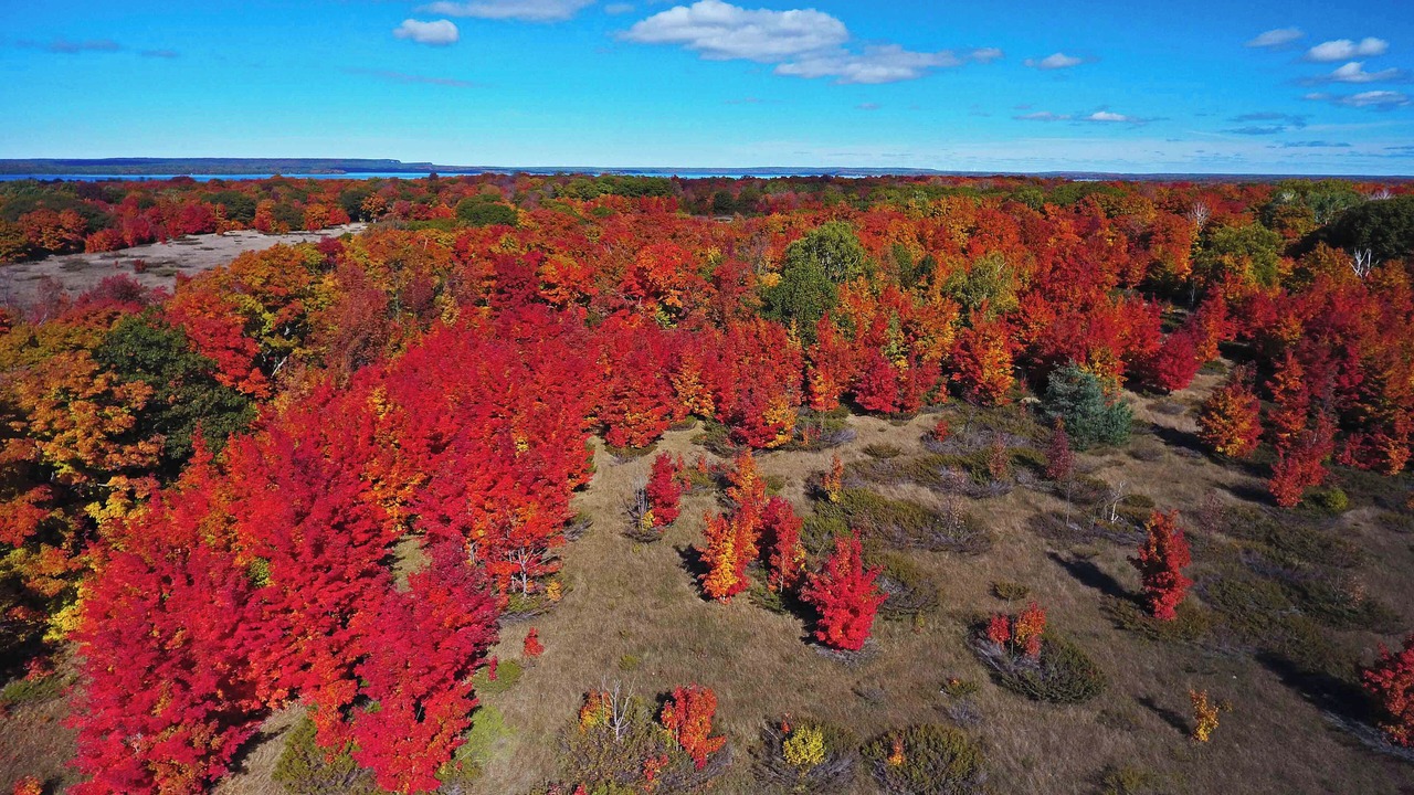 Photo of Others in Manitoulin District