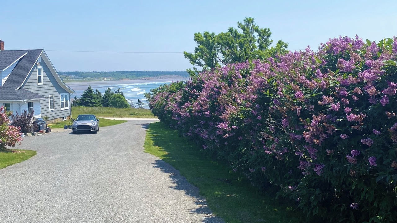 Photo of Outdoor in Cape Saint Marys