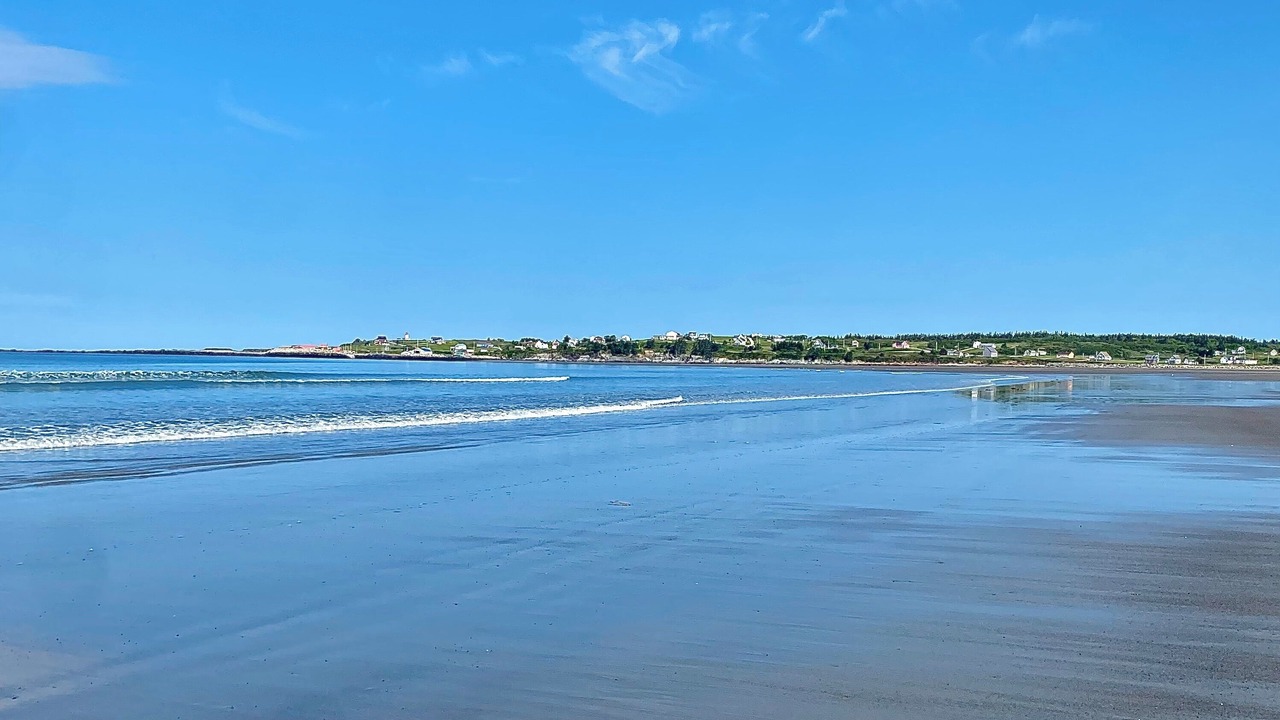 Photo of Others in Cape Saint Marys