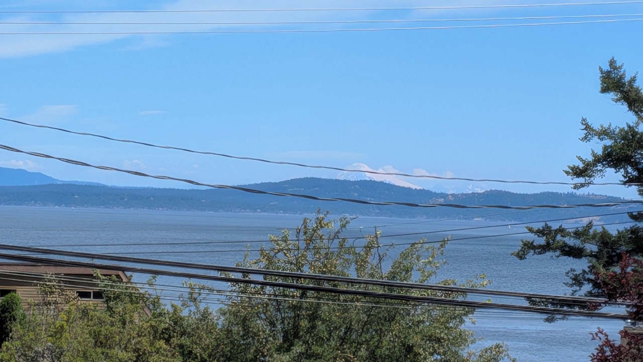 Photo of Others in Cordova Bay