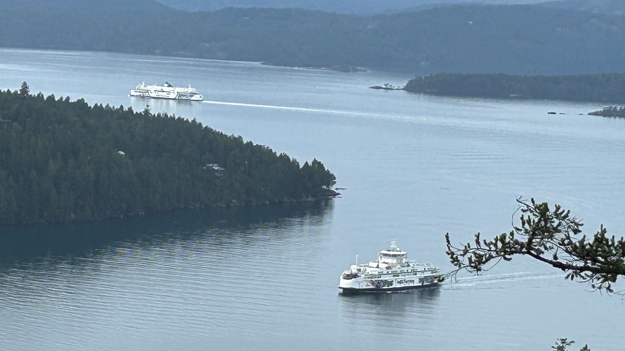 Photo of Others in Mayne Island