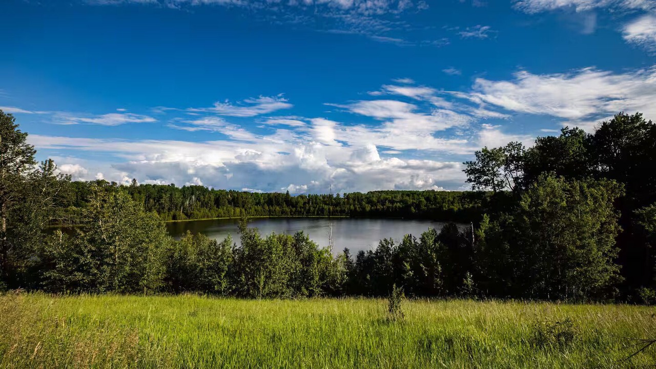 Photo of Others in Parkland County