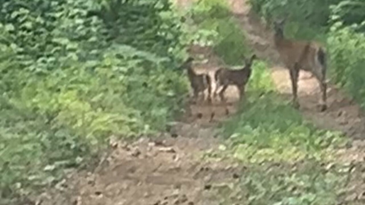 Photo of Others in Langton