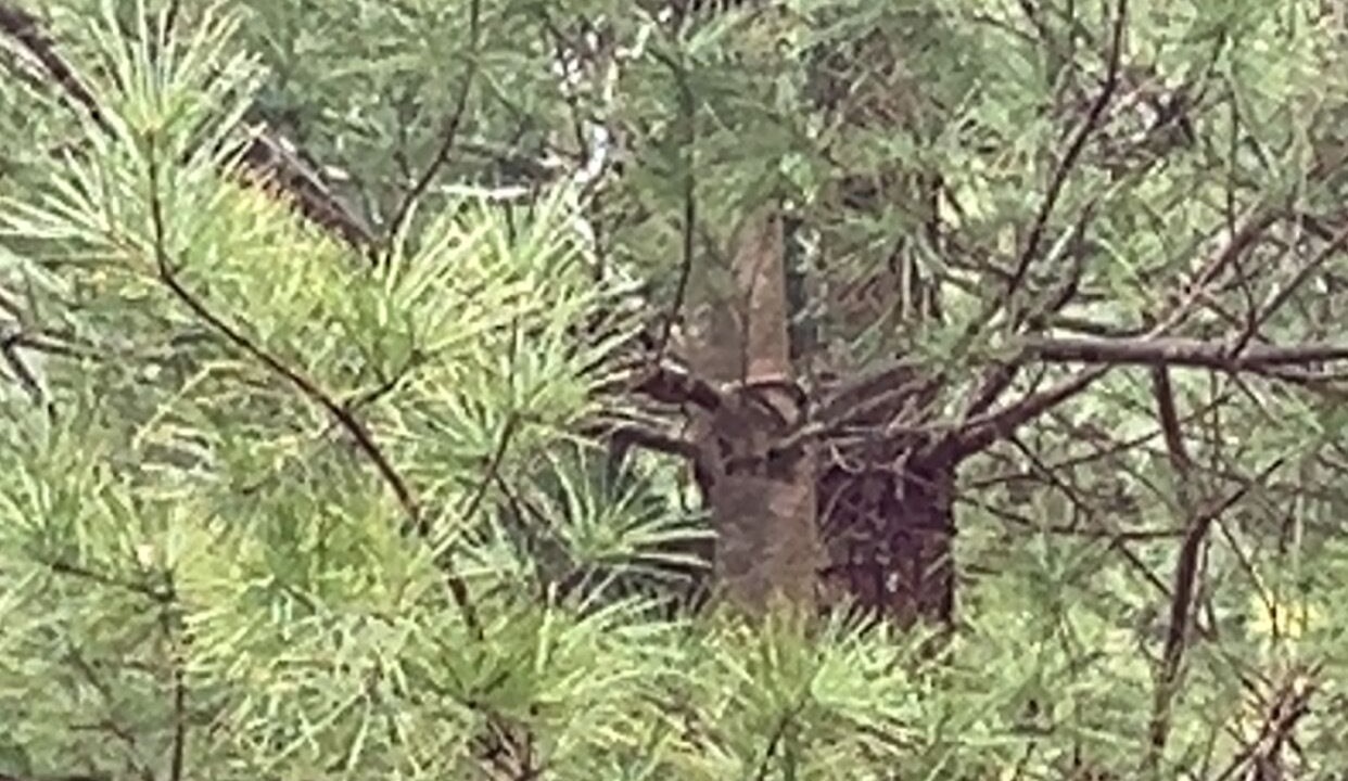 Photo of Others in Langton