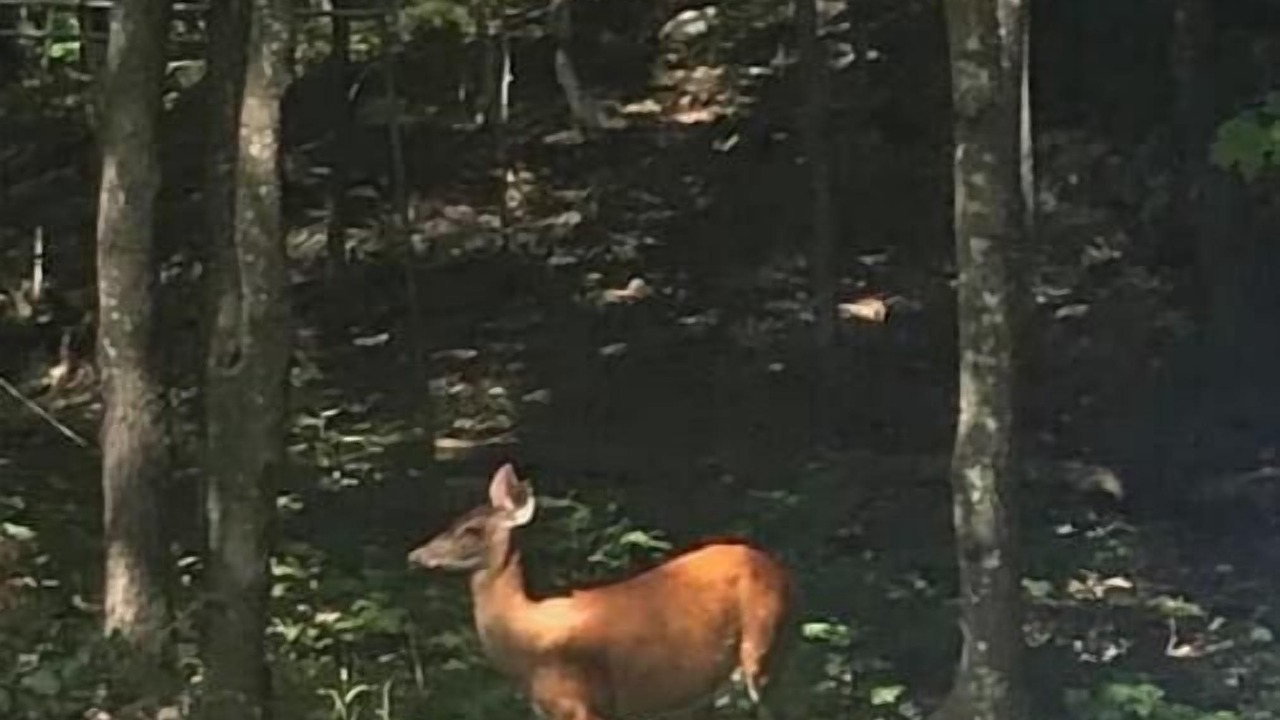 Photo of Others in Chelsea