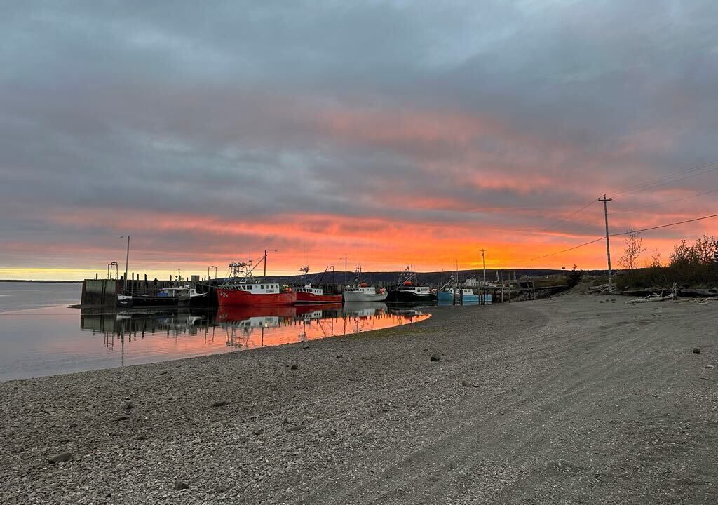 Photo of Others in Advocate Harbour
