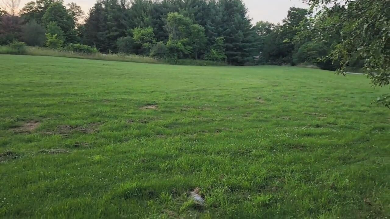 Photo of Others in Milton