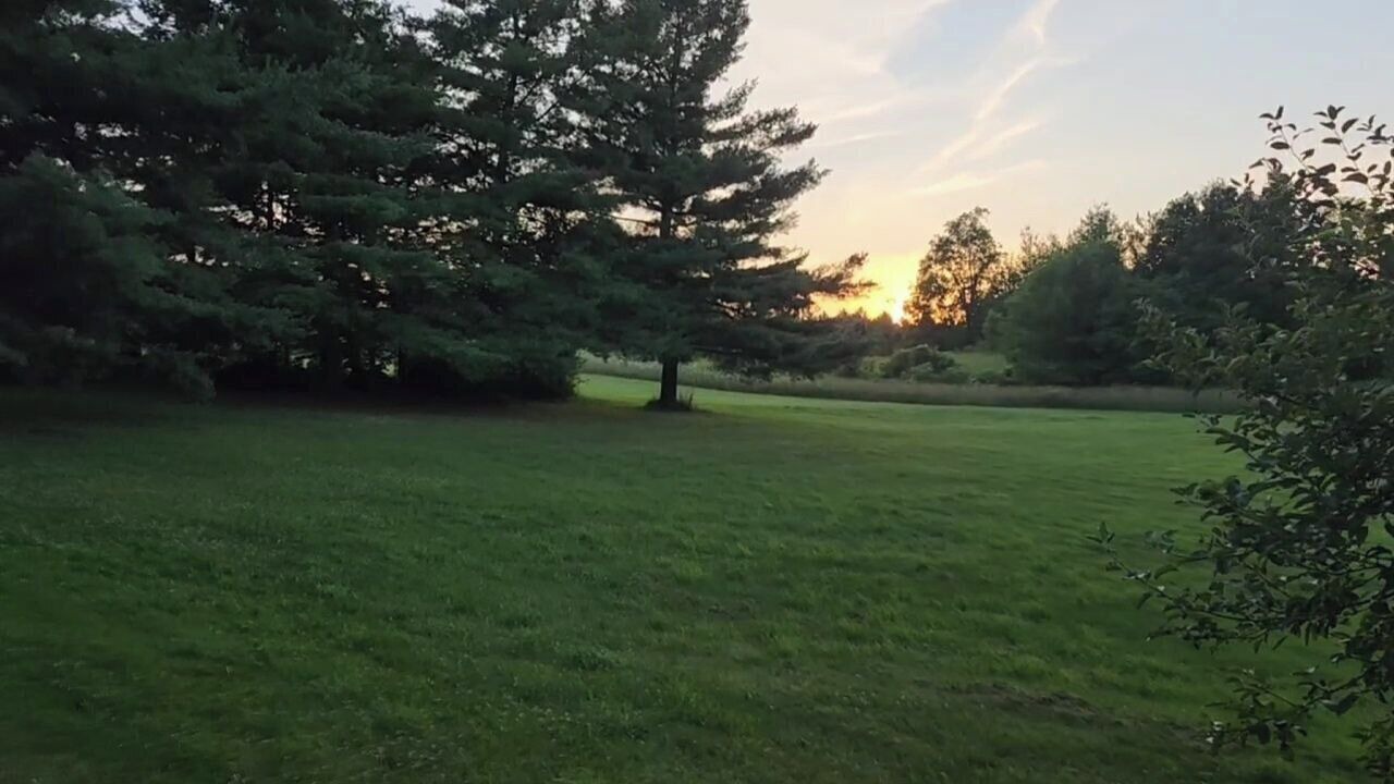 Photo of Others in Milton