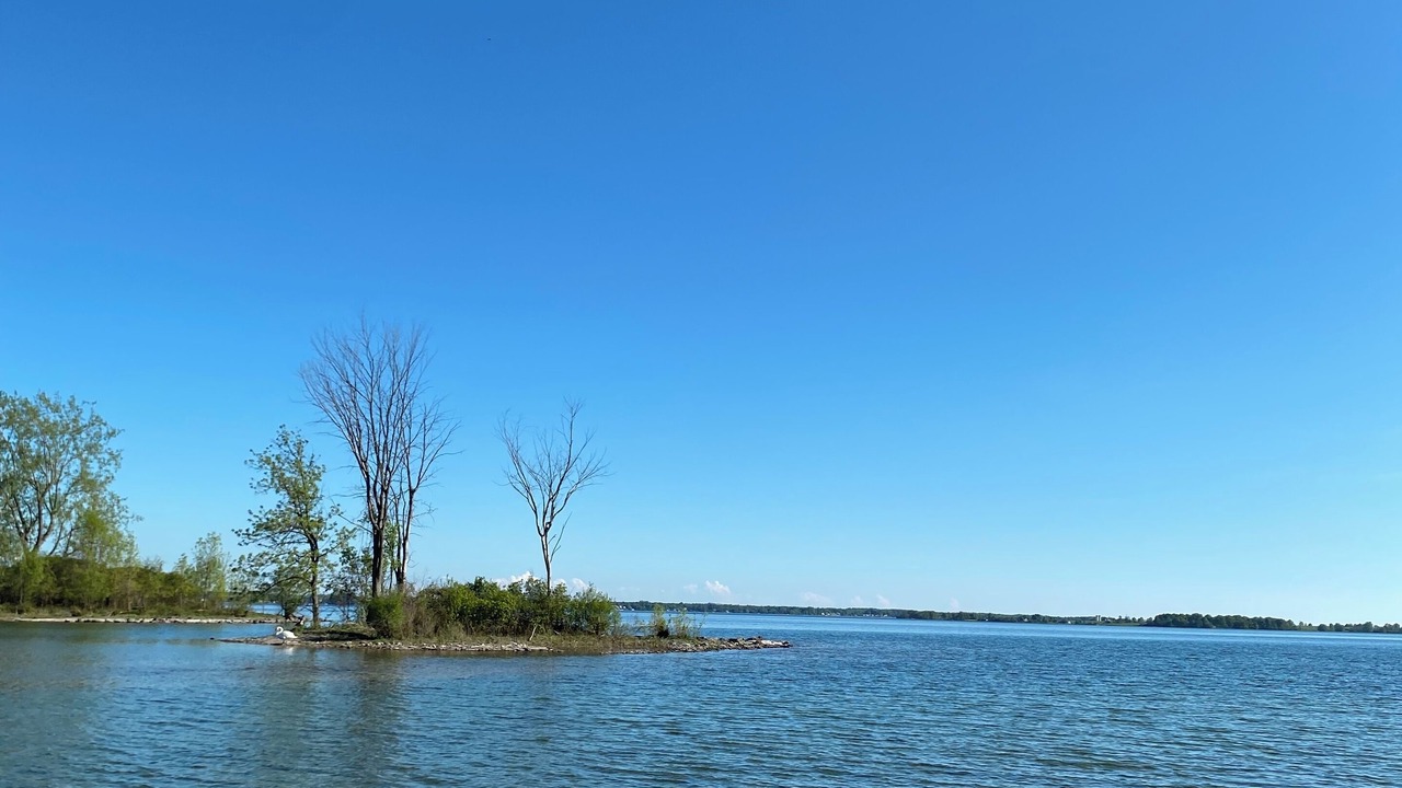 Photo of Others in Wolfe Island