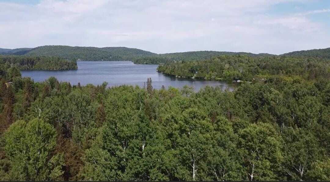 Photo of Others in Gracefield