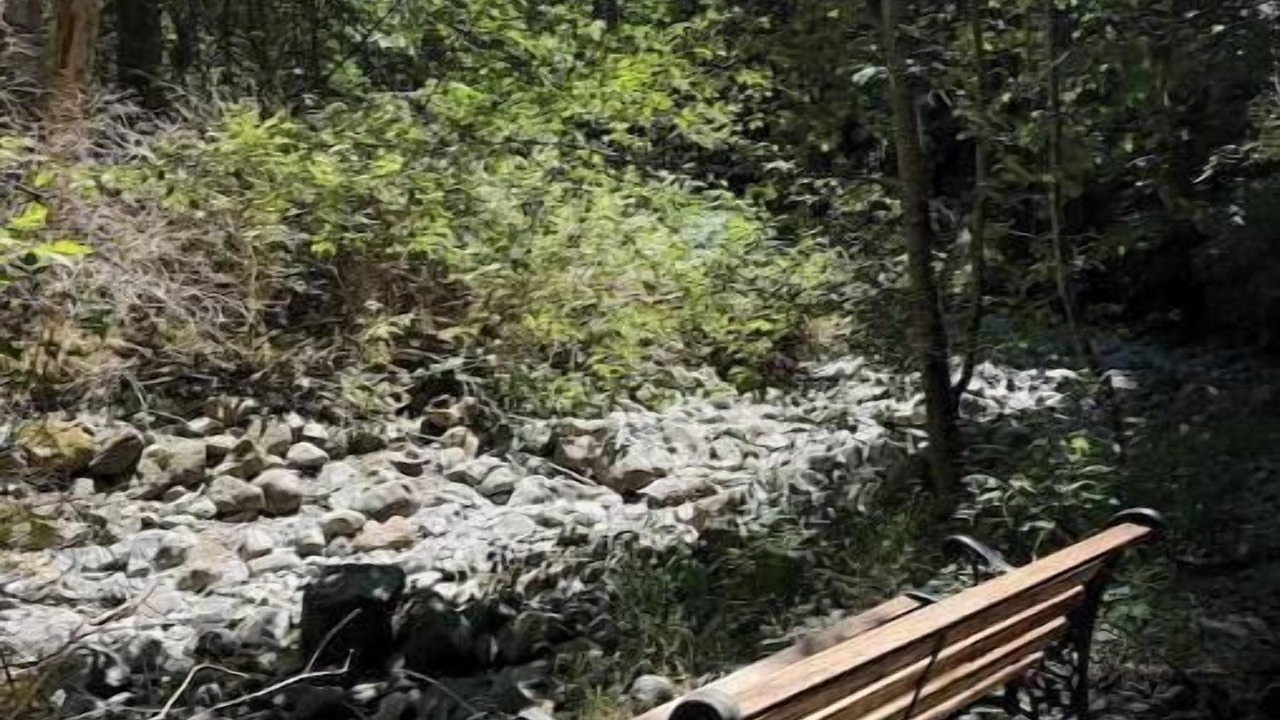 Photo of Outdoor in Otter Point