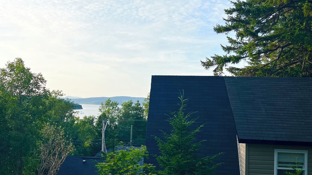 Photo of Others in Saint John