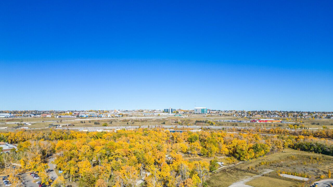 Photo of Outdoor in Inglewood