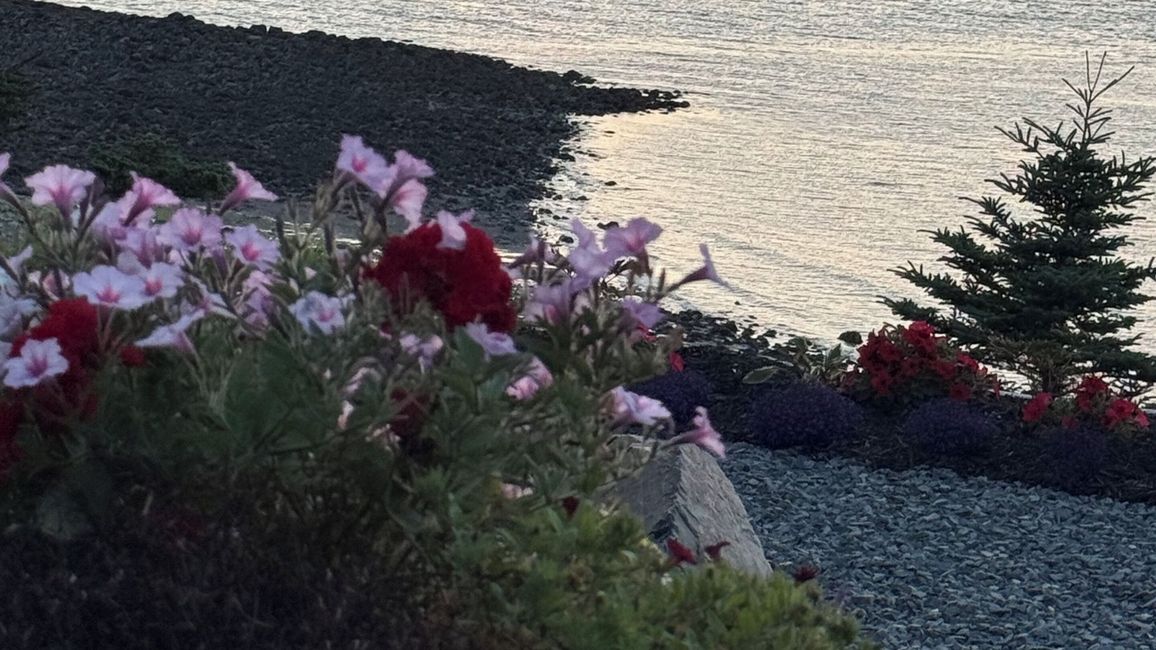 Photo of Others in Black Rock