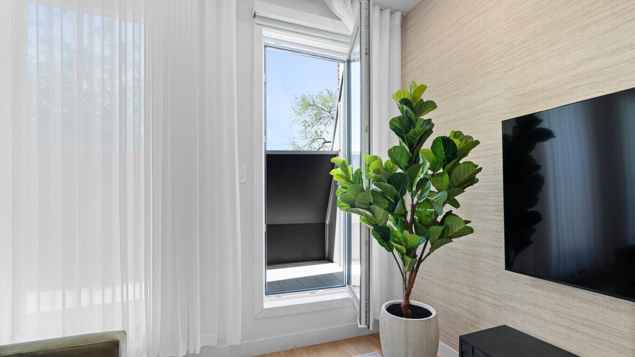 Photo of Livingroom in Plateau Mont Royal