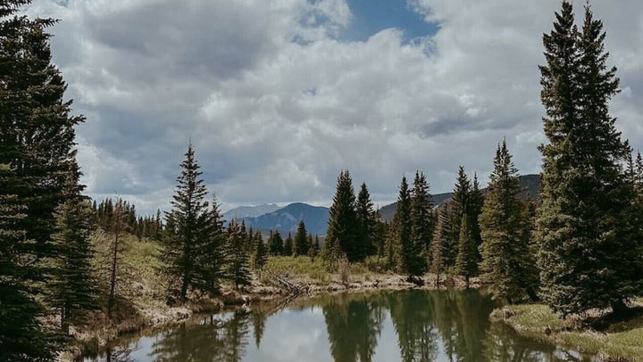 Photo of Others in Rock Lake