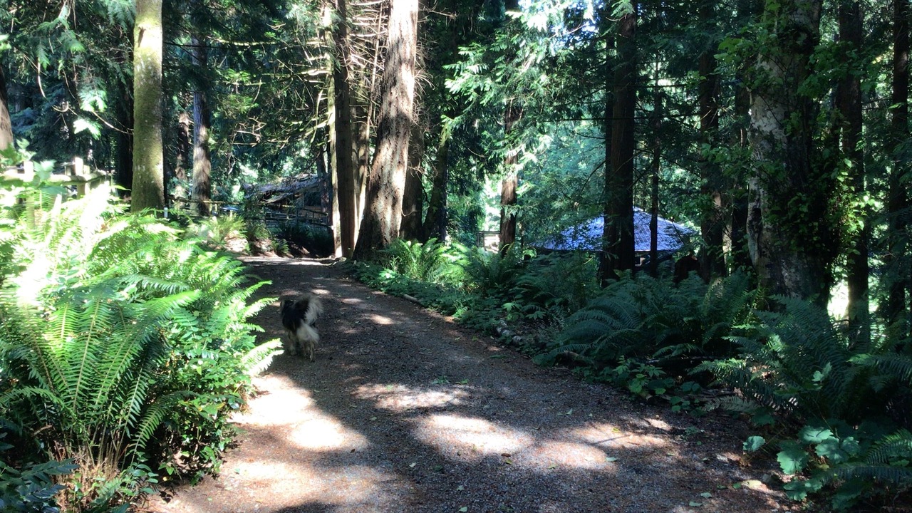 Photo of Outdoor in Otter Point