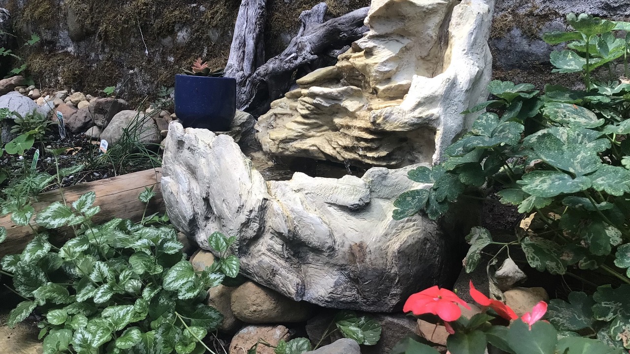 Photo of Outdoor in Otter Point