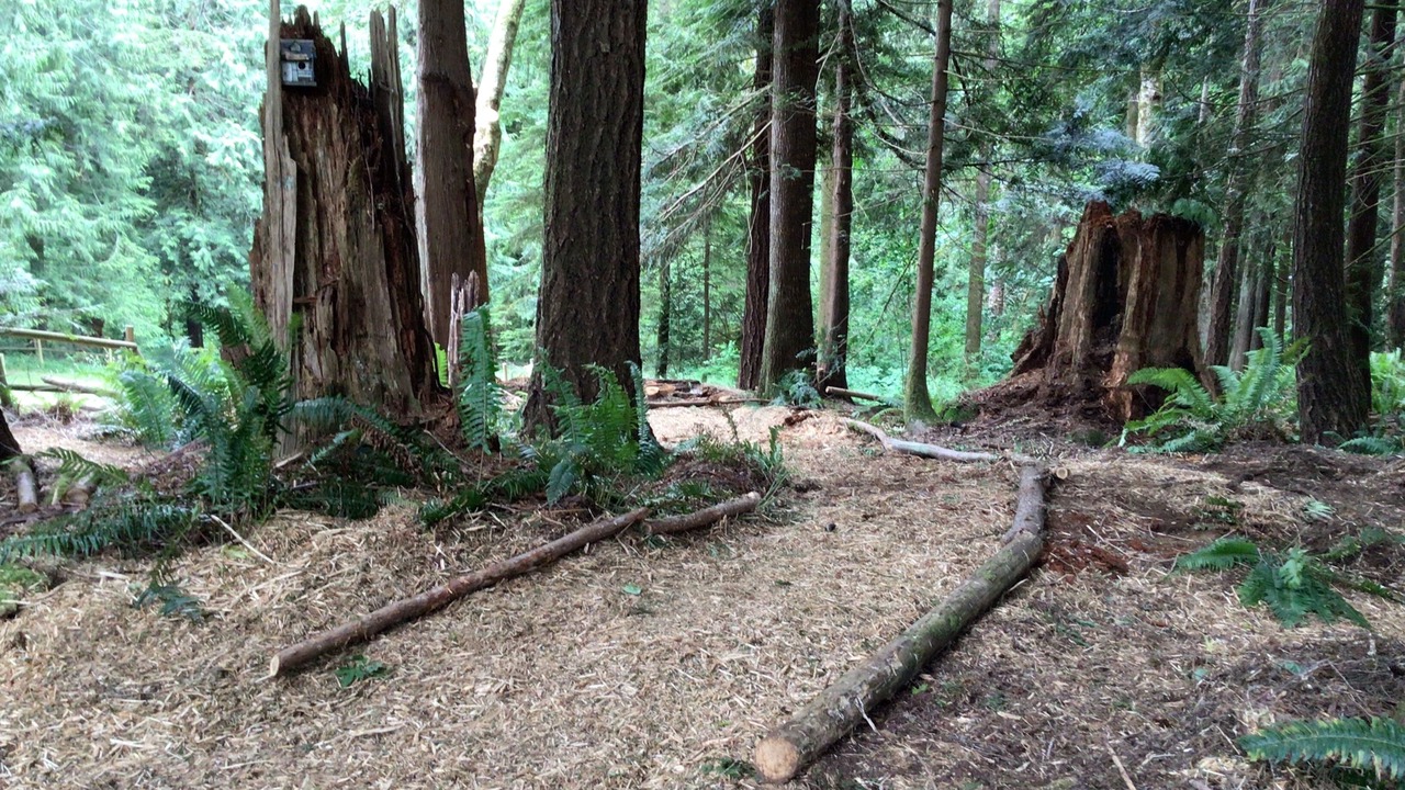 Photo of Outdoor in Otter Point