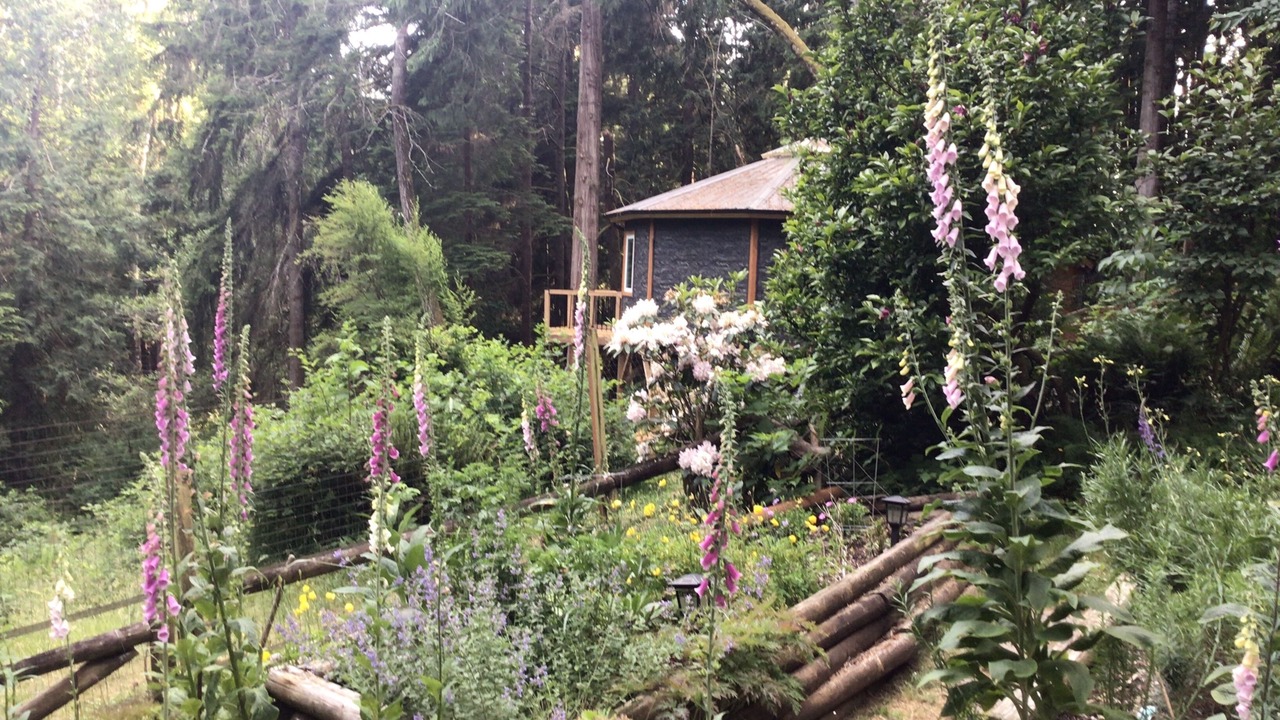 Photo of Outdoor in Otter Point