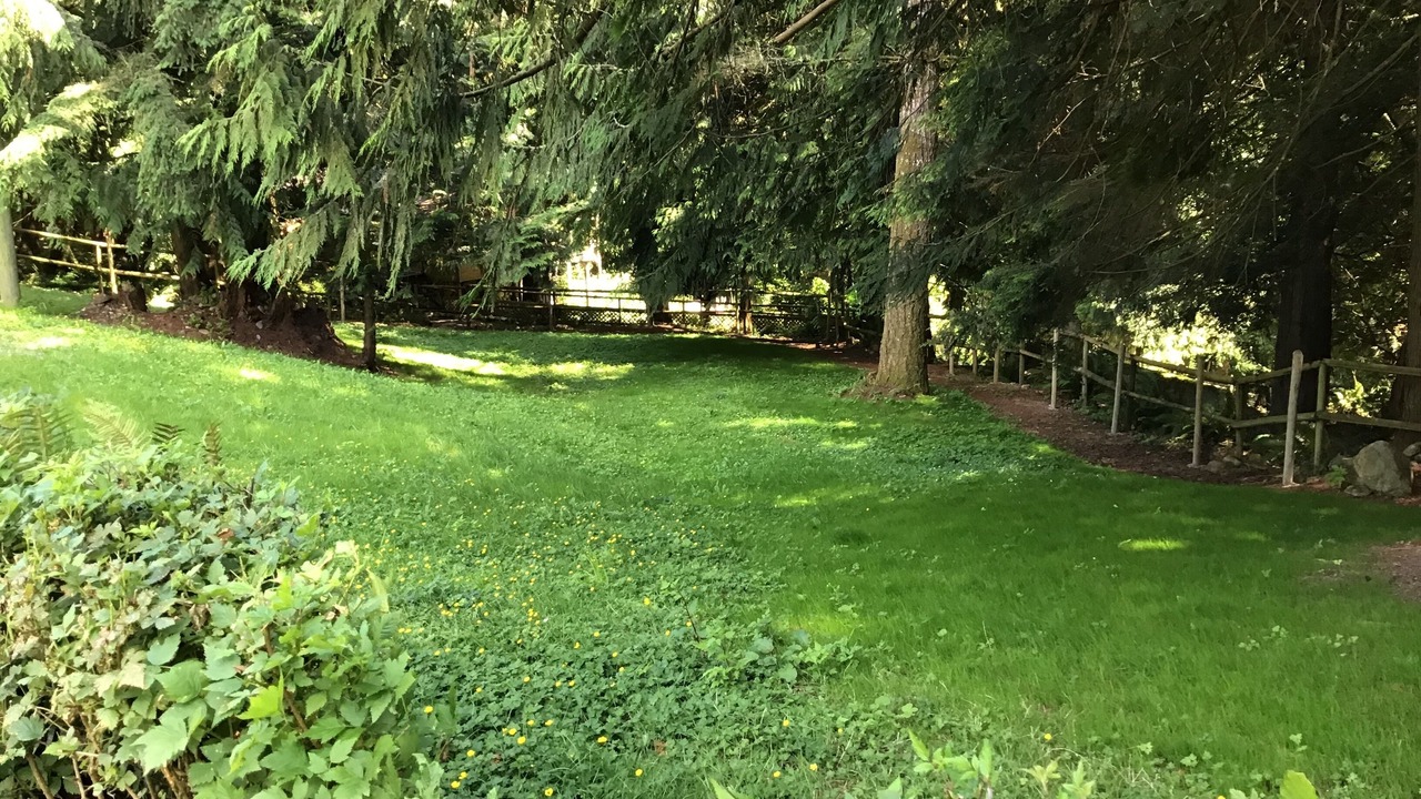 Photo of Outdoor in Otter Point