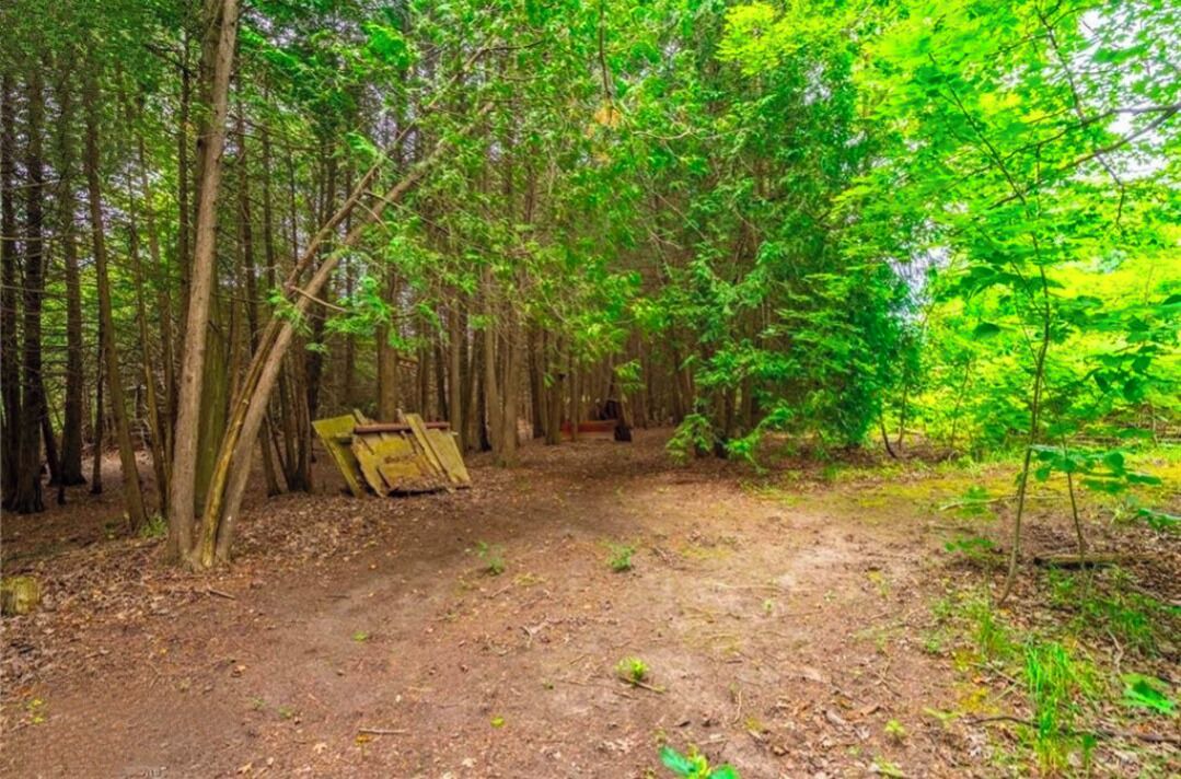Photo of Outdoor in Chatsworth