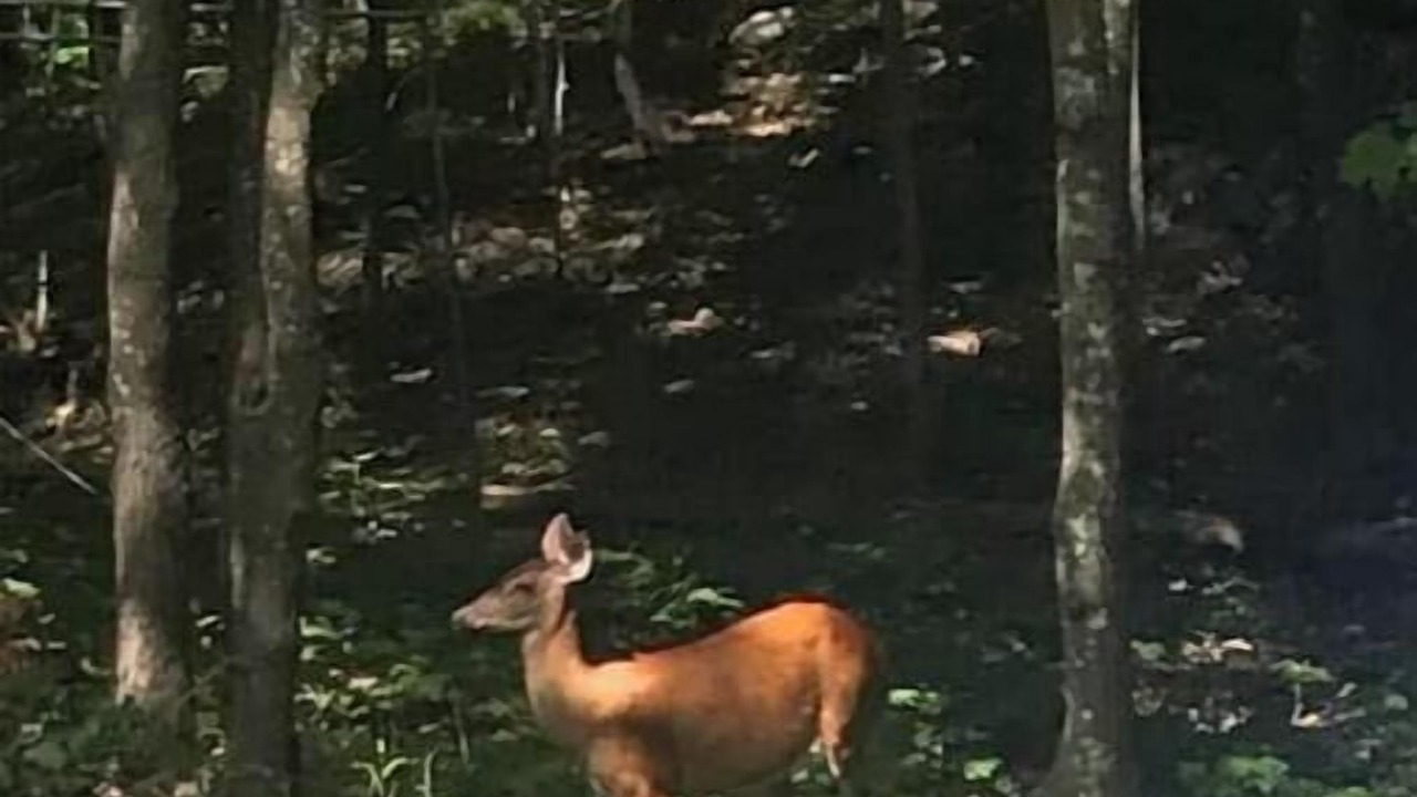 Photo of Others in Chelsea