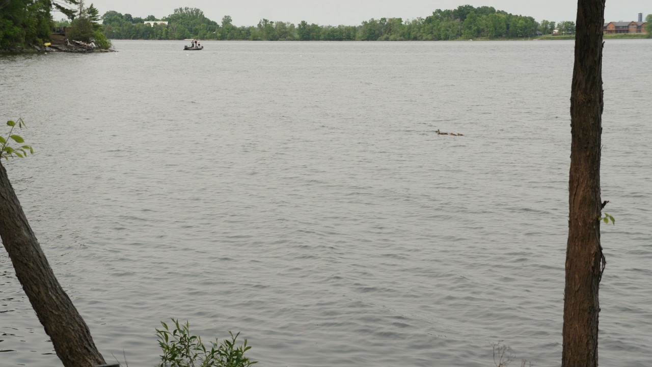 Photo of Others in Whitewater Region