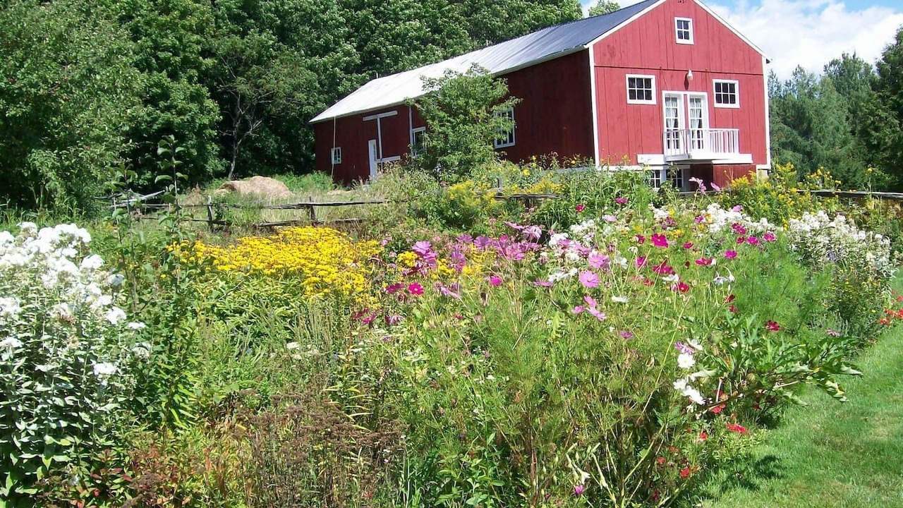 Photo of Outdoor in Grafton