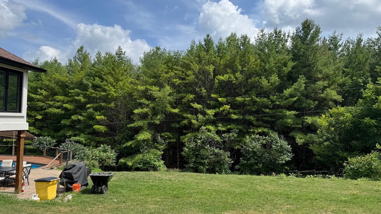 Photo of Outdoor in Caledon