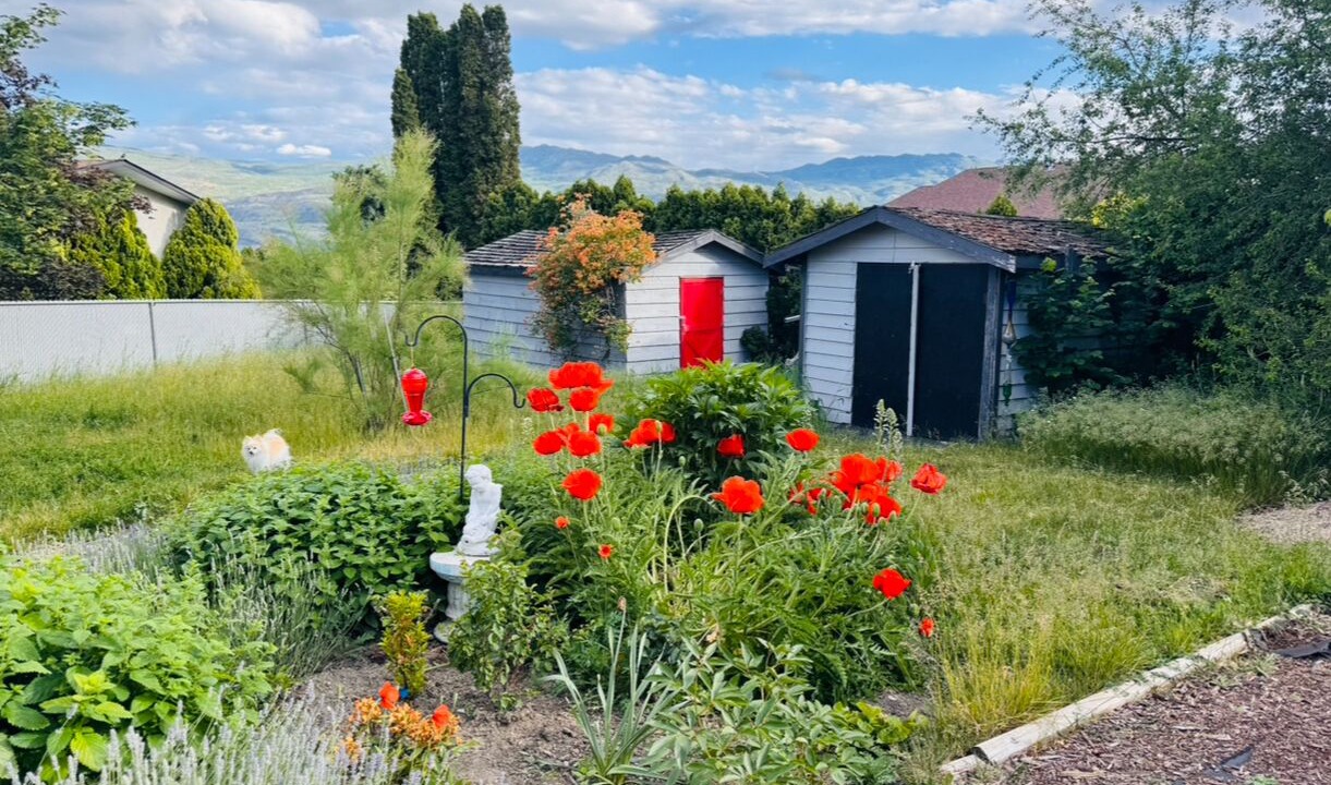 Photo of Outdoor in Central Okanagan