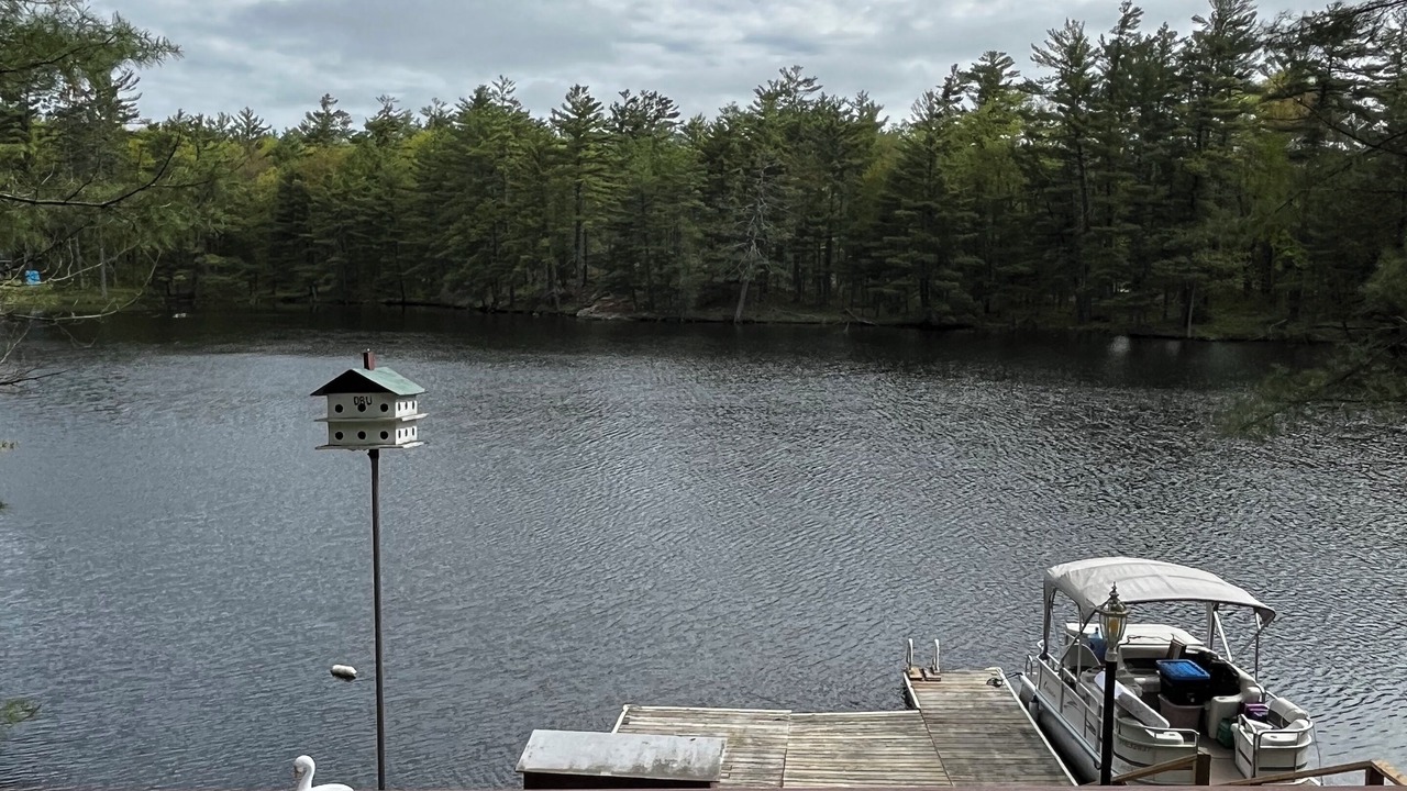 Photo of Outdoor in Georgian Bay