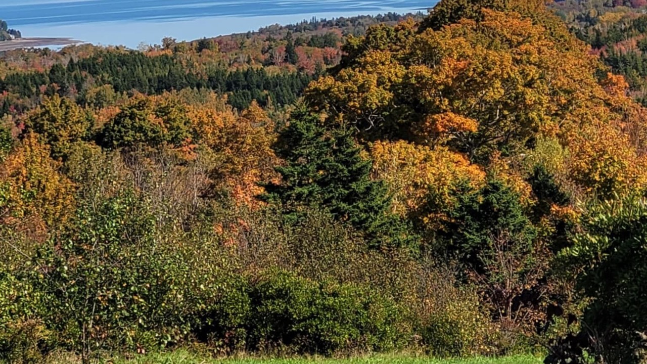 Photo of Others in Digby County