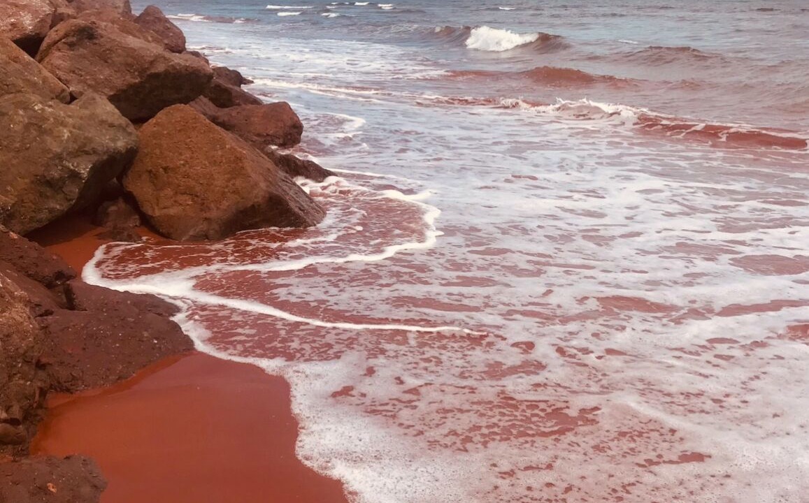 Photo of Others in Tignish