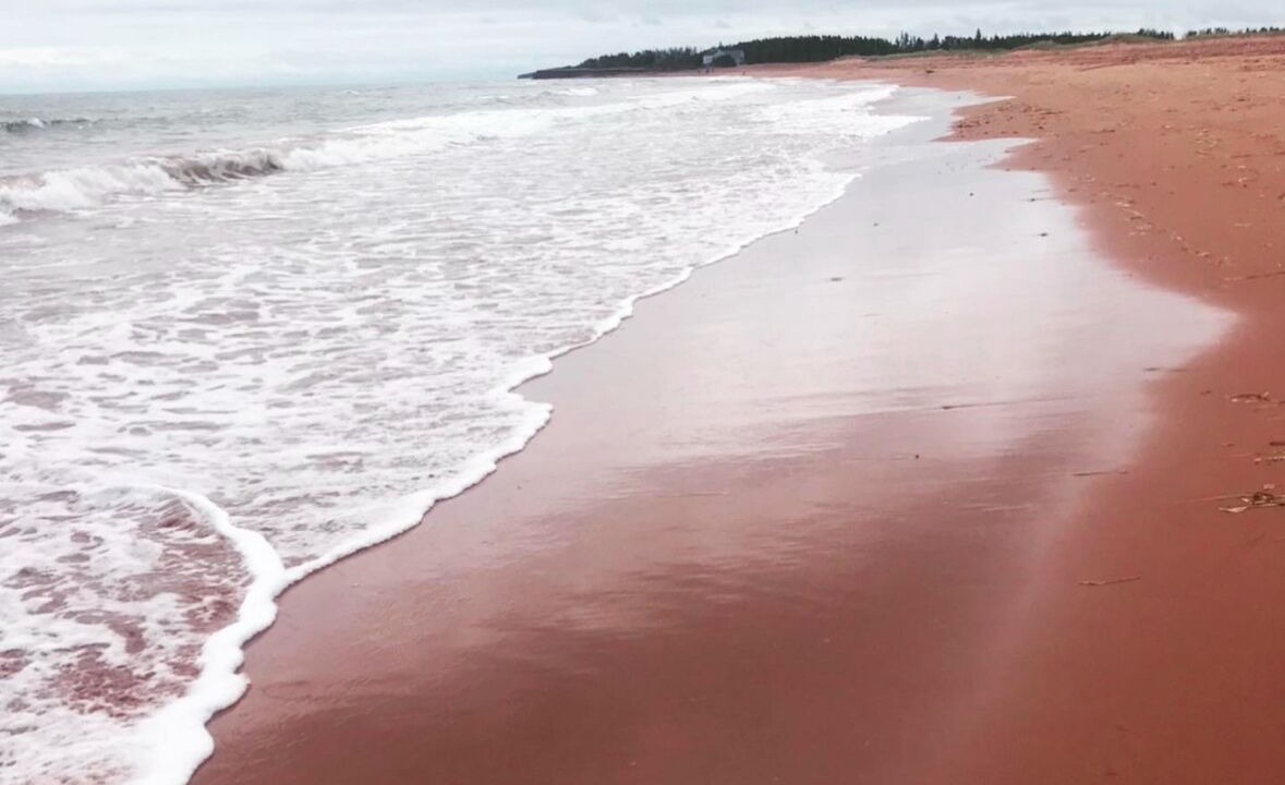 Photo of Others in Tignish
