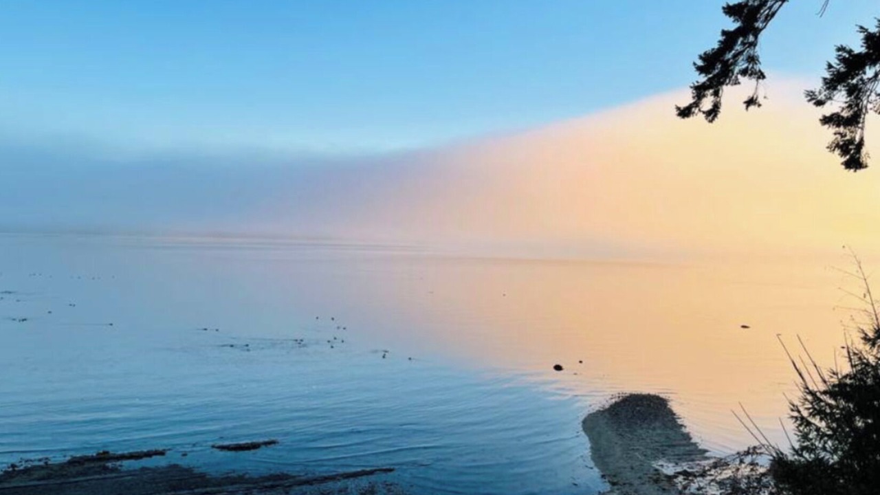 Photo of Others in Fanny Bay